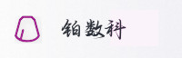 合作伙伴